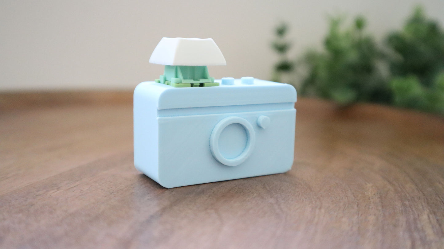 Fidget Camera