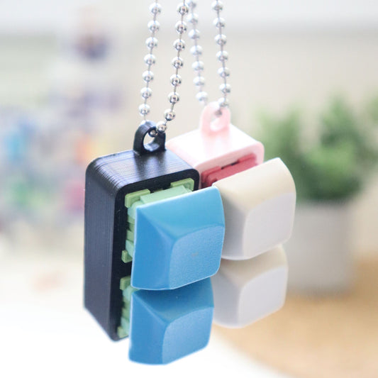 2 Key Fidget Keychain