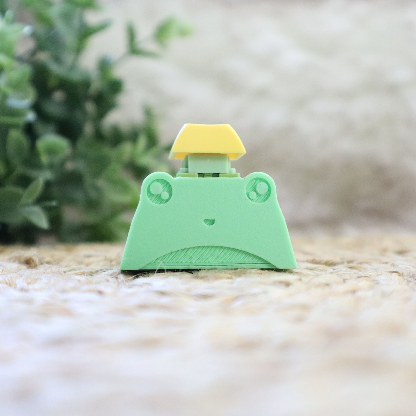 Fidget Frog