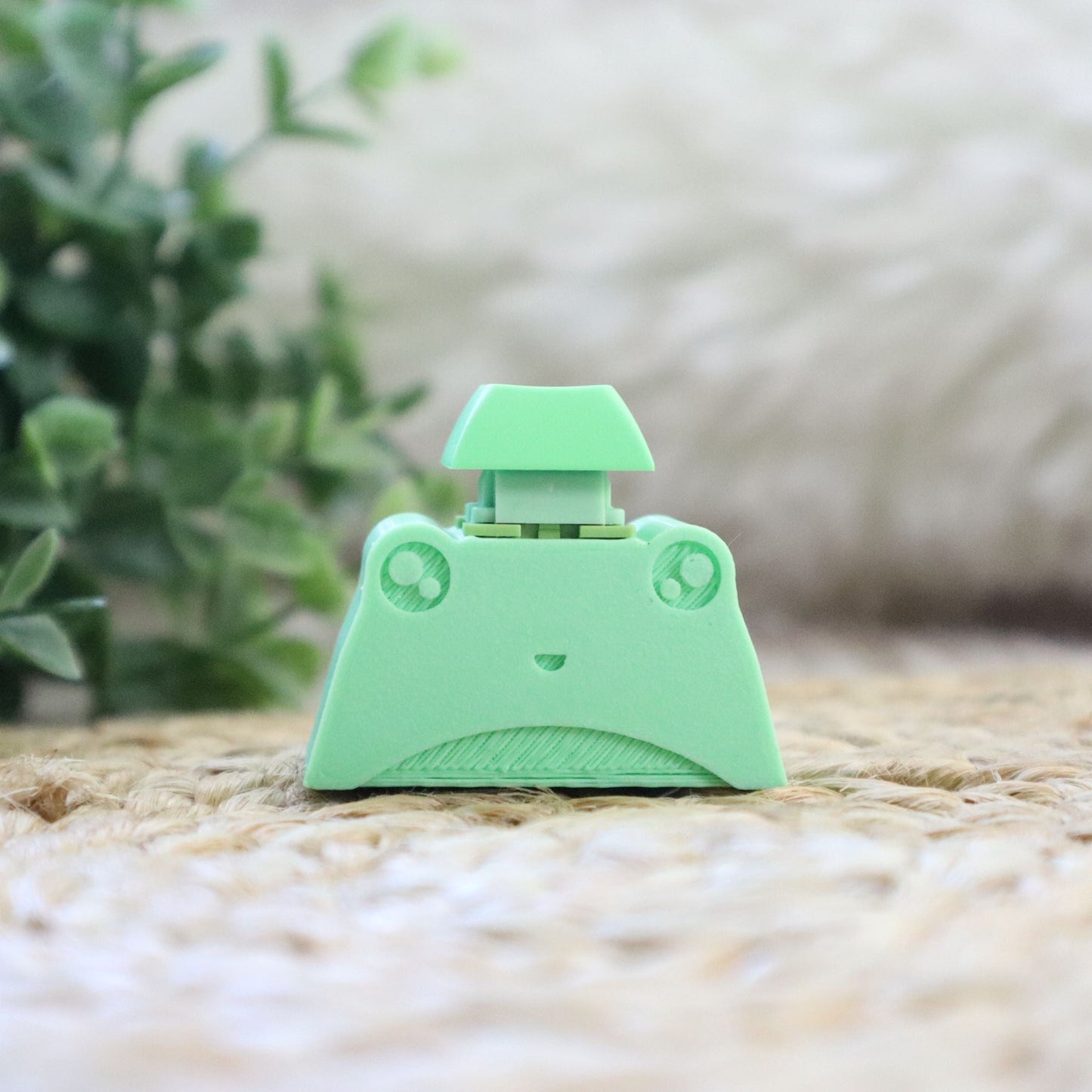 Fidget Frog