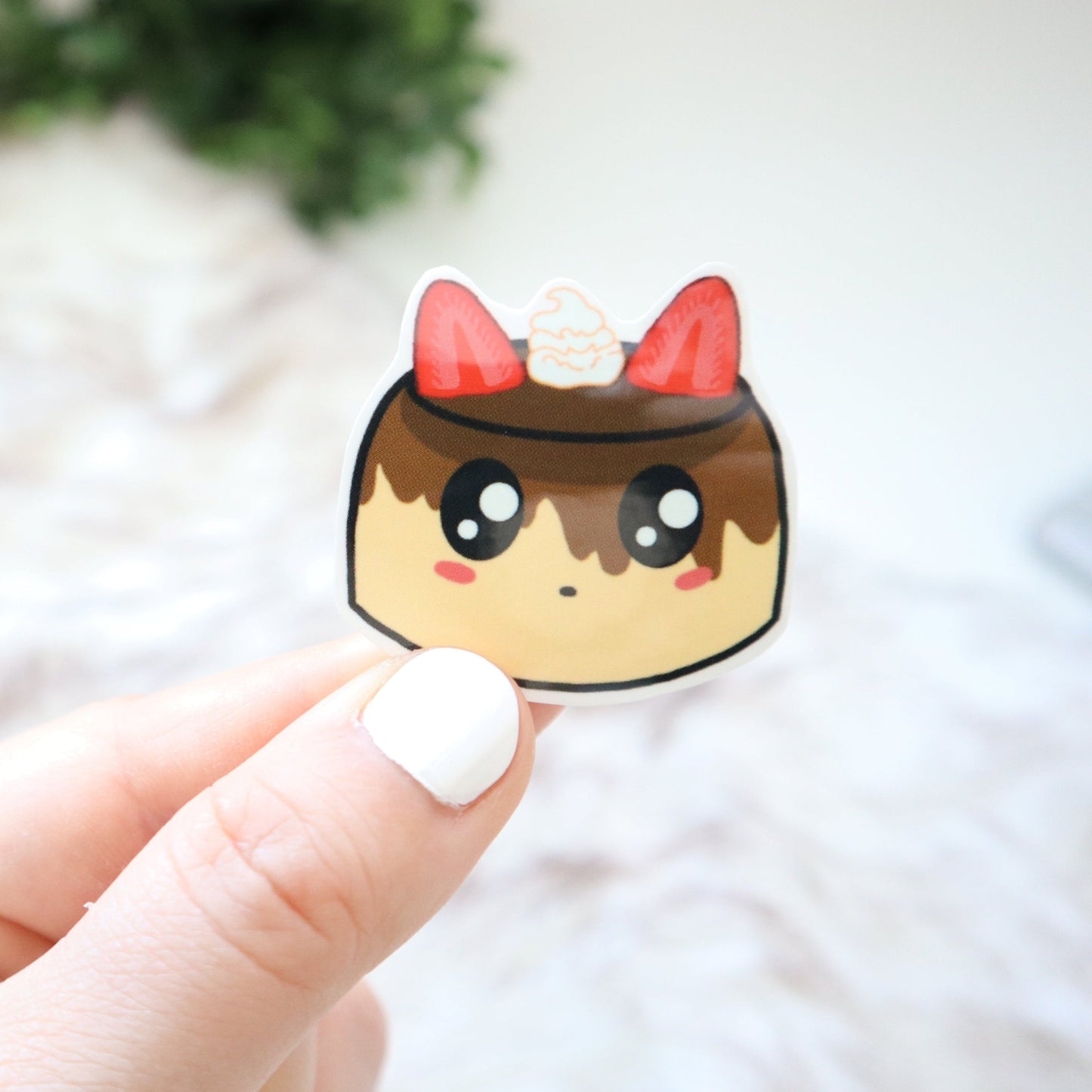 Cat Brulee
