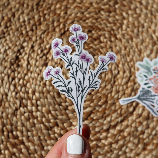 Large Pink Wildflowers