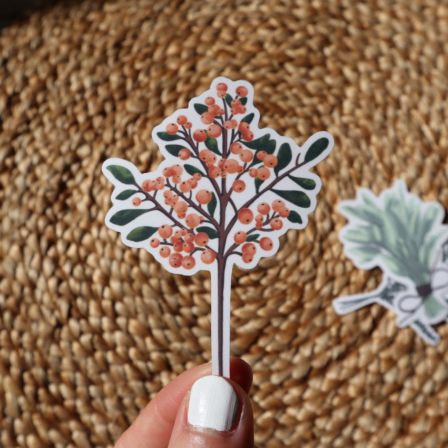 Large Berry Branch