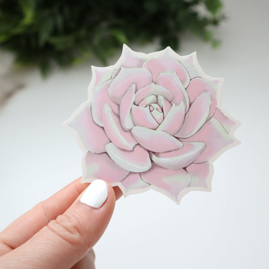 Succulent Sticker